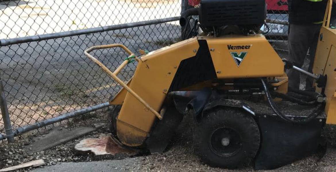 R&J Ozuna's Tree Service Co. Offers Stump Removal Services in Elmhurst